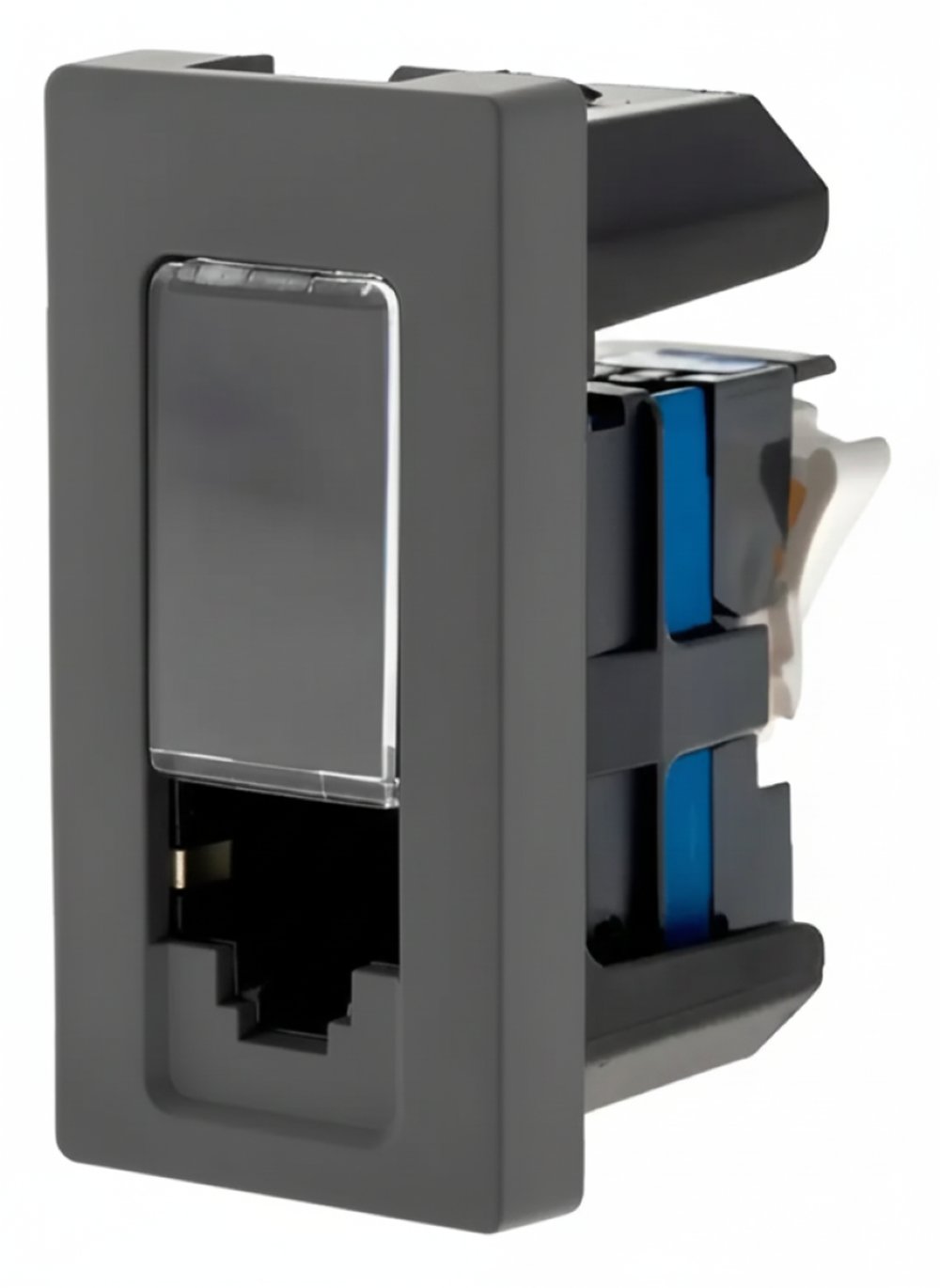Módulo Tomada Internet Pial Plus+ RJ45 Cat6 - Inova Materiais Elétricos