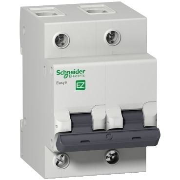 Disjuntor Din Schneider Bipolar Easy9 80A classe C - EZ9F33280