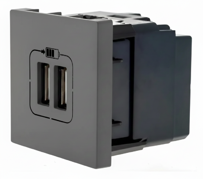 Módulo Tomada com 2 USB Pial Plus+ 2400mA 2 módulos Cinza - 615089CZ