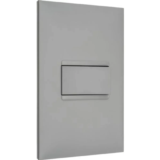 Conjunto 1 Interruptor Simples Pial Plus+ Cinza