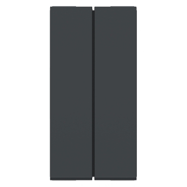 Módulo Duplo Interruptor Paralelo Orion Grafite - S70100394