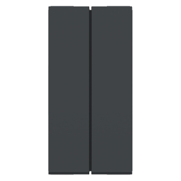 Módulo Duplo Interruptor Simples Orion Grafite - S70100194