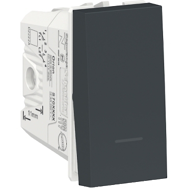 Módulo Interruptor Bipolar Paralelo Orion Grafite - S70110494