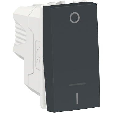 Módulo Interruptor Bipolar Simples Orion Grafite - S70110294