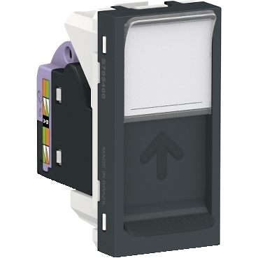 Módulo Tomada Internet Orion RJ45 Cat6 Grafite- S70540194