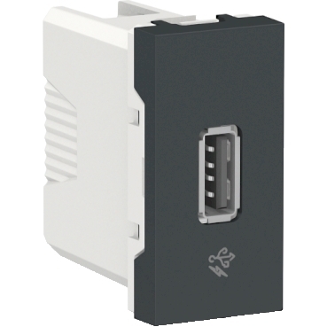 Módulo Tomada USB Orion Grafite - S70547094