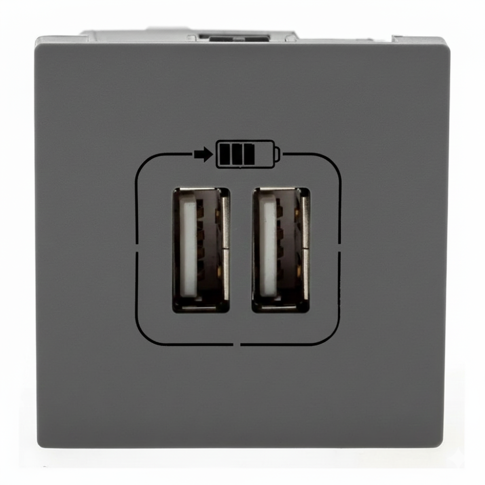 Módulo Tomada com 2 USB Pial Plus+ 2400mA 2 módulos Cinza - 615089CZ