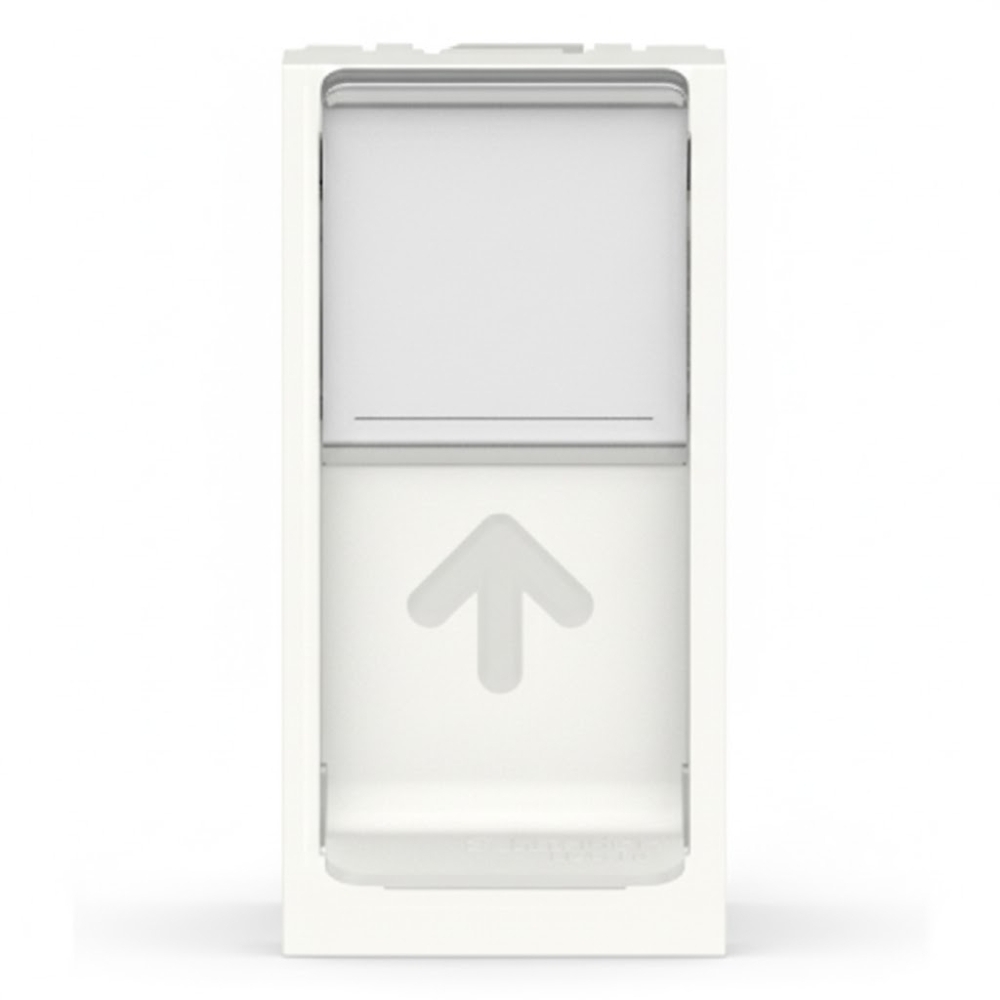 Módulo Tomada Internet Orion RJ45 Cat6 Branco - S70540104