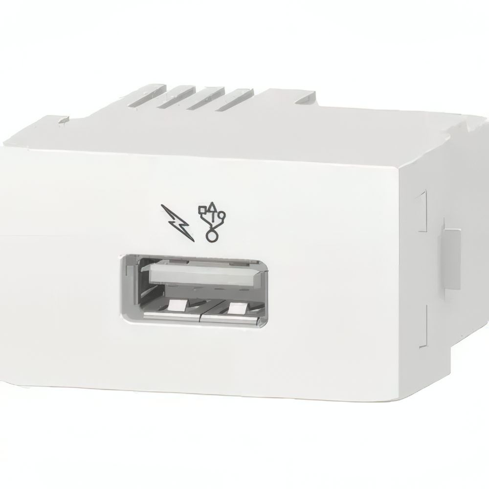 Modulo Tomada USB 1.0 Lunare Branco  -PRM47811