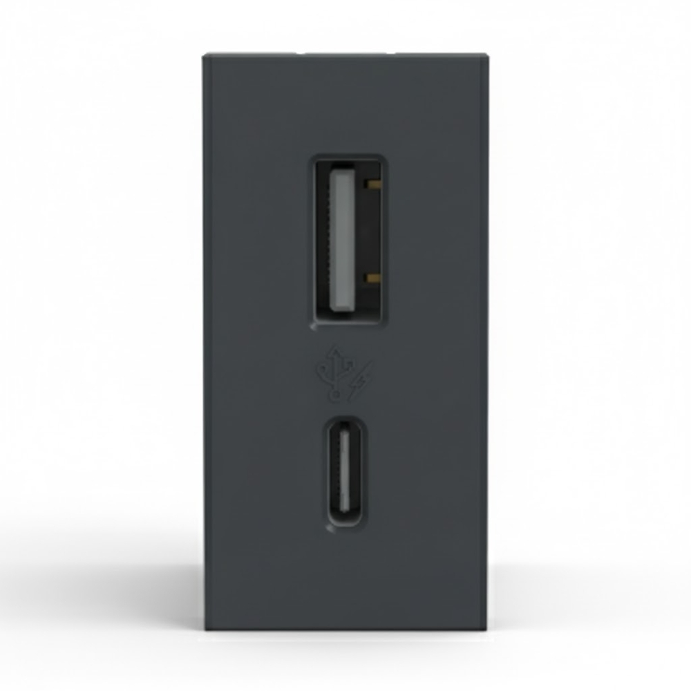 Módulo Tomada USB Tipo A+C Orion Grafite - S70547294