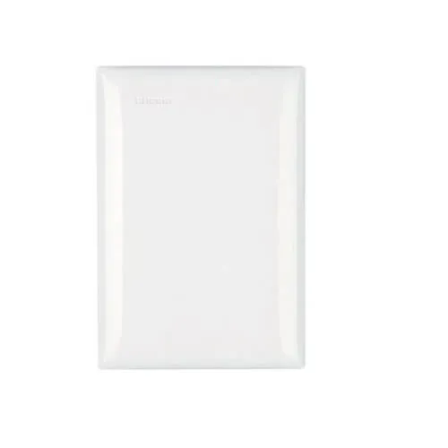 Placa 4x2 Cega Thesi-Up Branca - M5P0