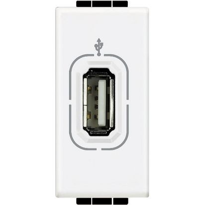 Tomada Living-Light (SOMENTE DADOS/NÃO PASSA ENERGIA) White -N4285